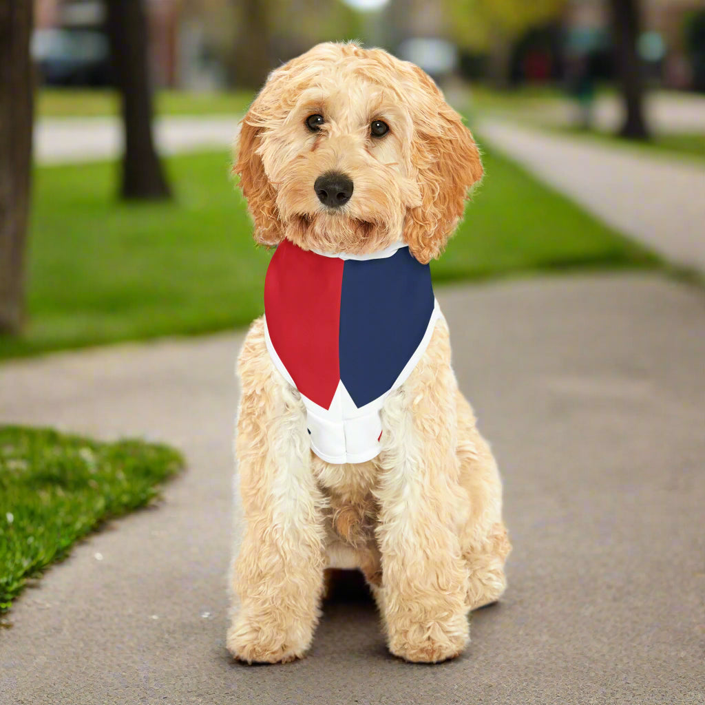 Dominican Wag Hoodie