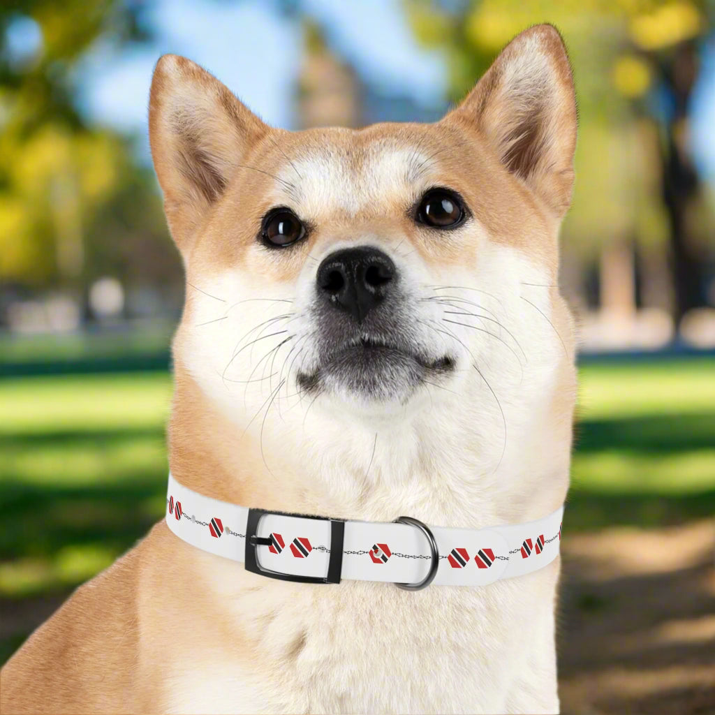 Trini Tuff Collar