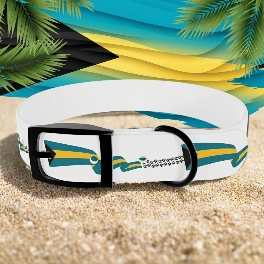 White dog collar with blue and yellow fish design on a white background