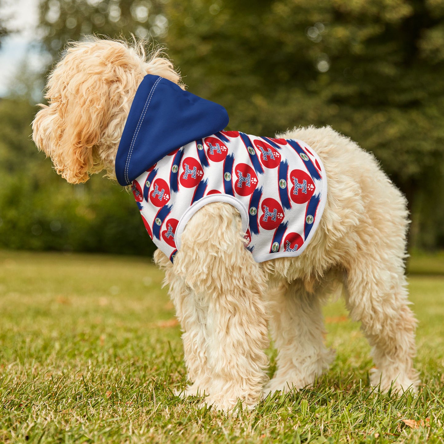 Waggin’ in Belize Pet Hoodie