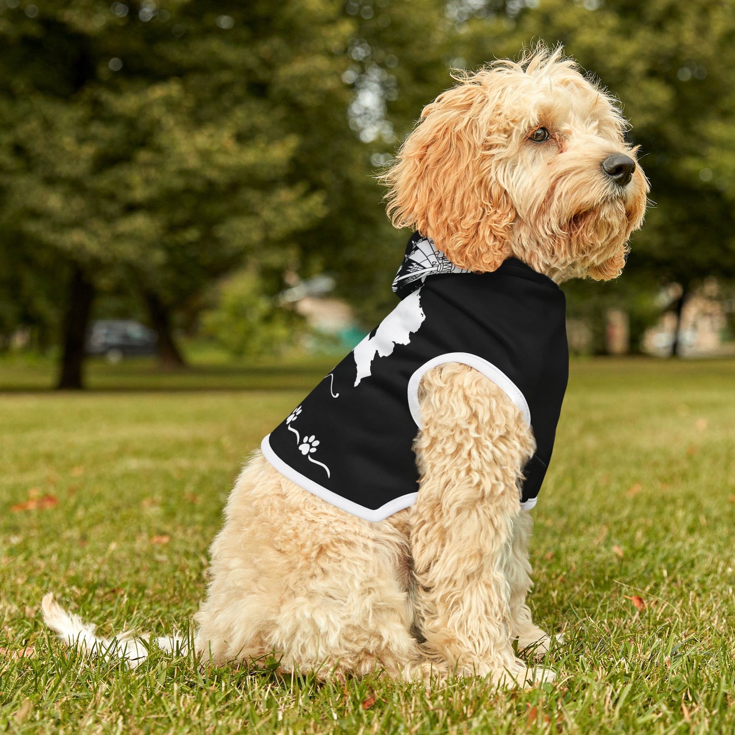 Sak Pawse: Love & Heritage Hoodie