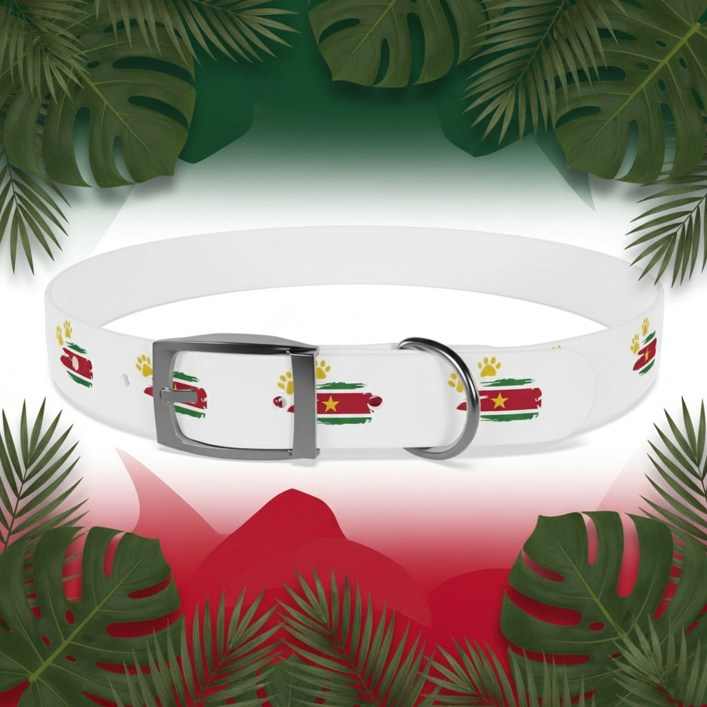 Golden Star Dog Collar