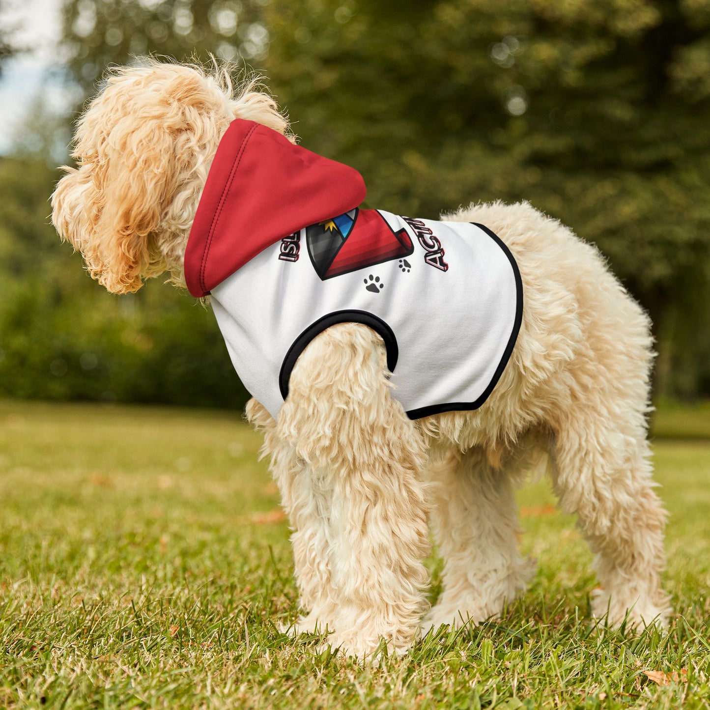 Island Drip Activated Pet Hoodie