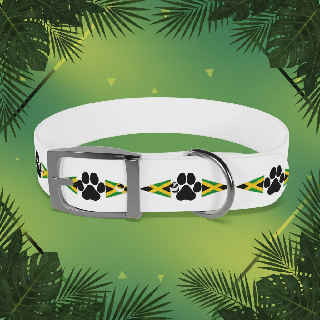 Jamaica Jammin' Pet Collar