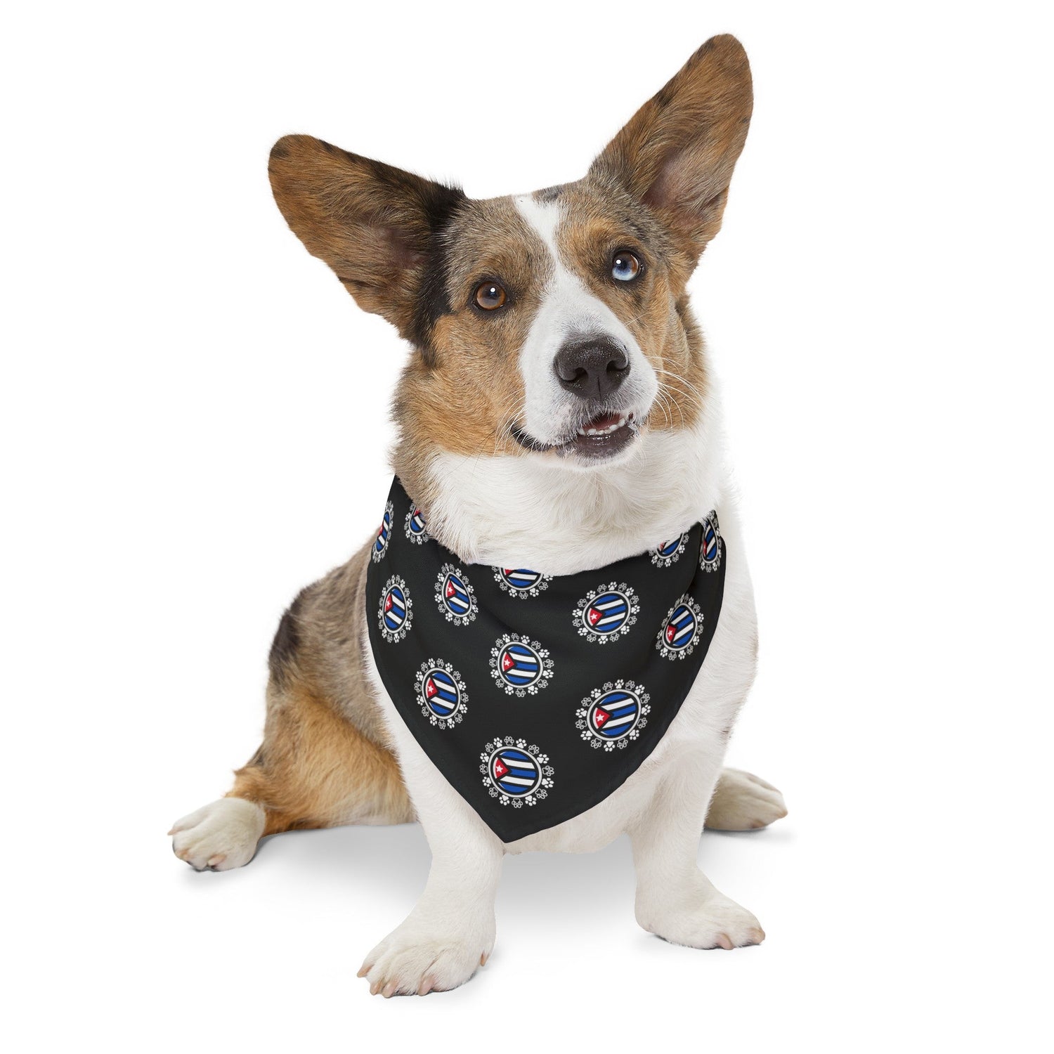 Cultural Pet Bandanas