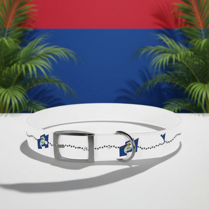 White dog collar with blue and red accents on a white background