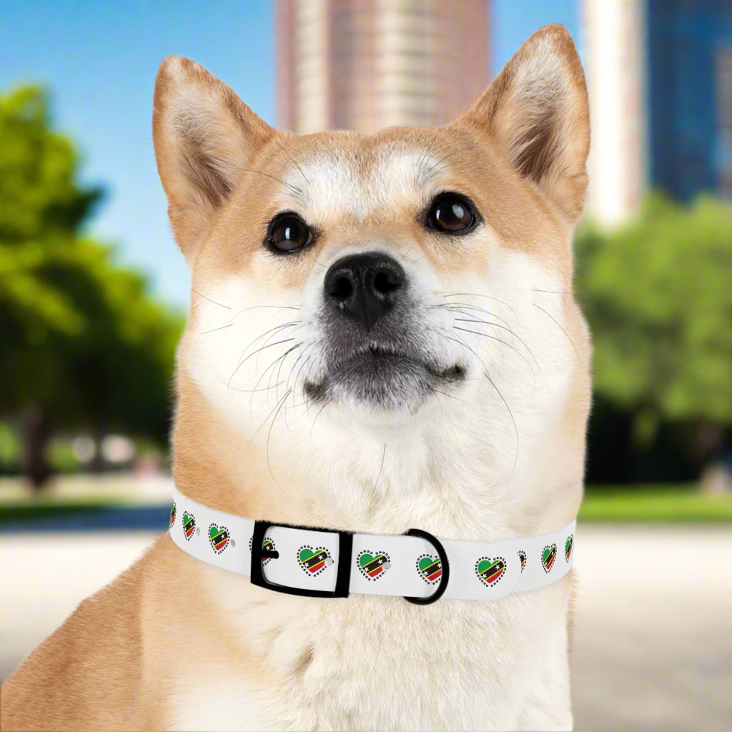 Heart of SKN Collar