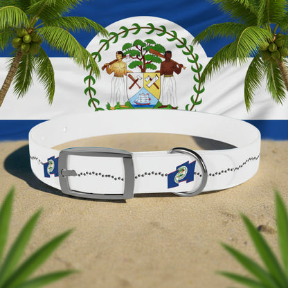 White dog collar with a silver buckle on a sandy beach