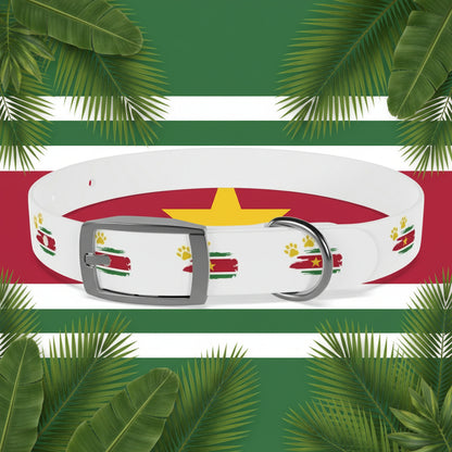 Golden Star Dog Collar