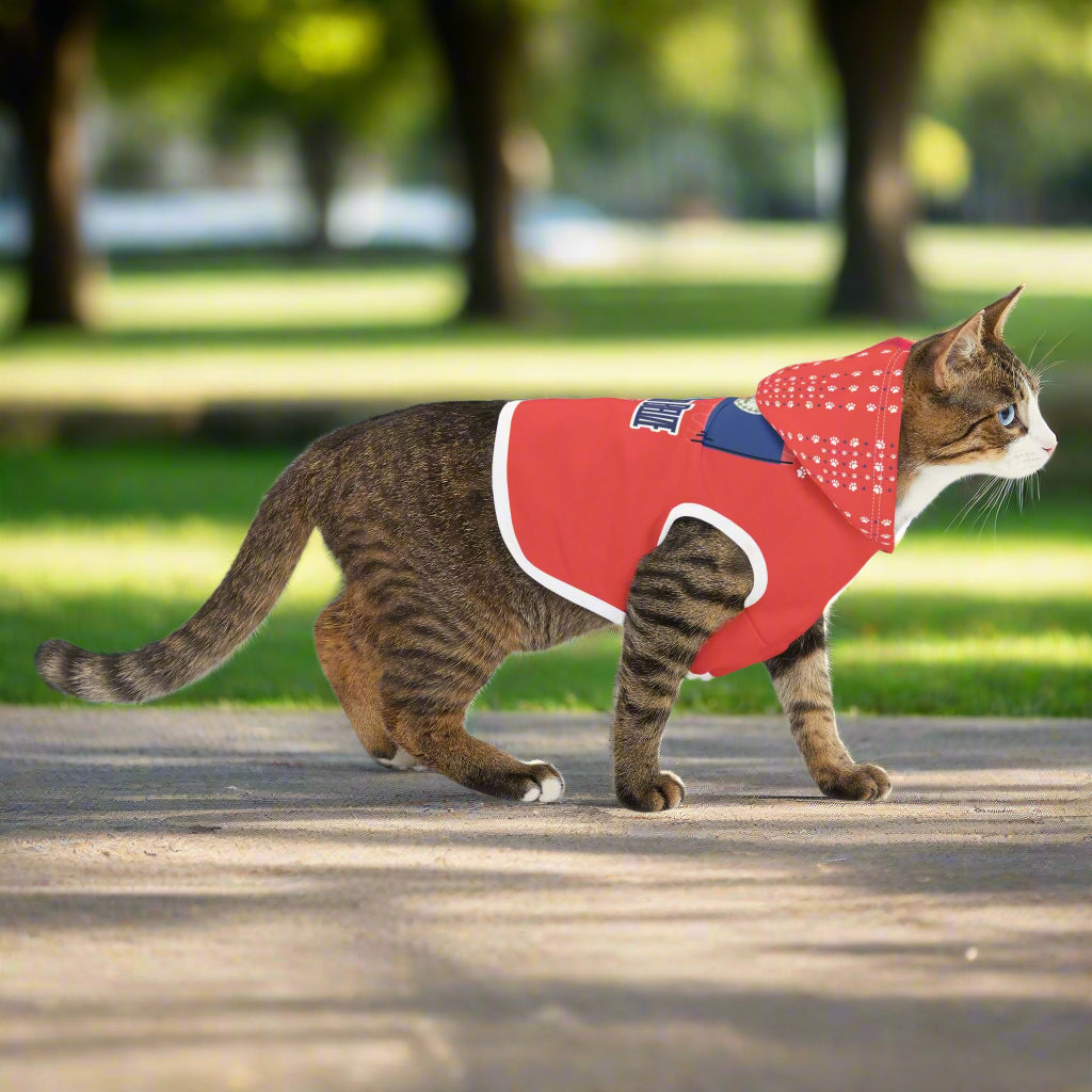 Paws Up for Belize Pet Hoodie