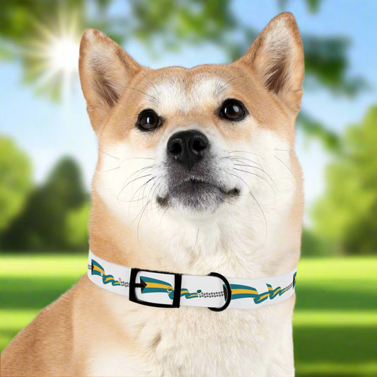 Bahama Bound Collar