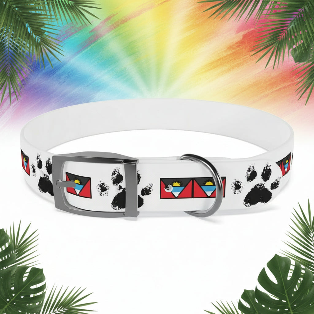 Dog collar with paw prints and colorful designs on a white background