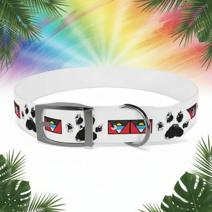 Dog collar with paw prints and colorful designs on a white background