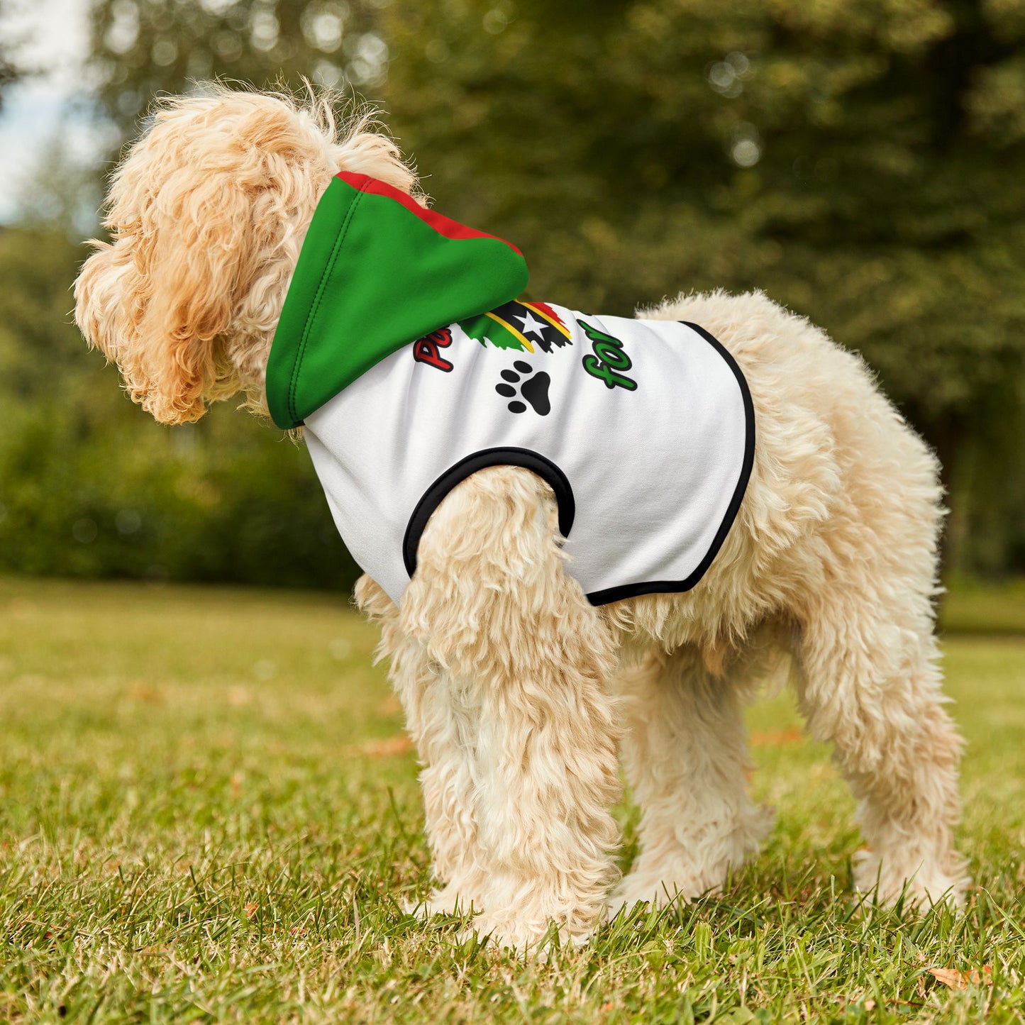 Paws Up for SKN Pet Hoodie