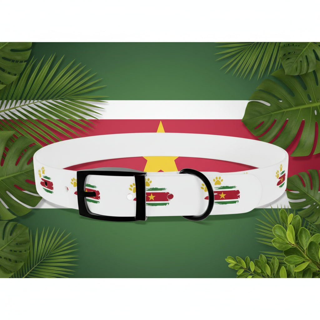 Golden Star Dog Collar