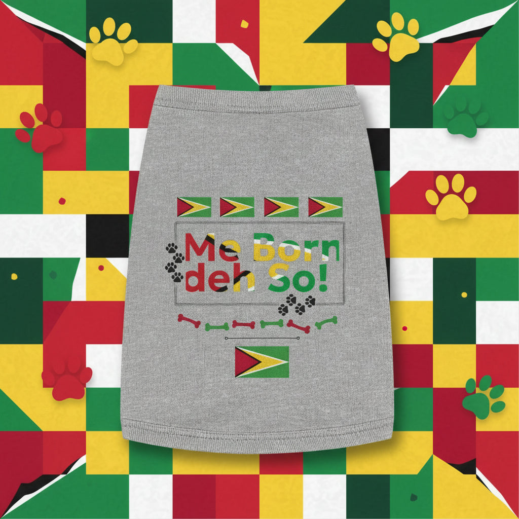 Gray pet dress with colorful text and flags on a white background
