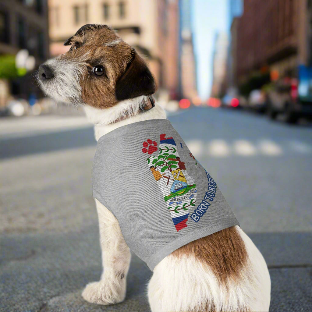 Born to Belize Pet Tank Top