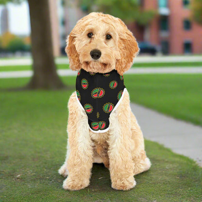 Nevis Night Vibes Pet Hoodie