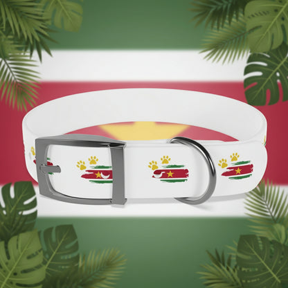 Golden Star Dog Collar