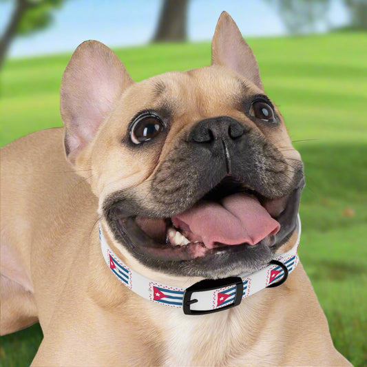 Paws de Cuba Collar