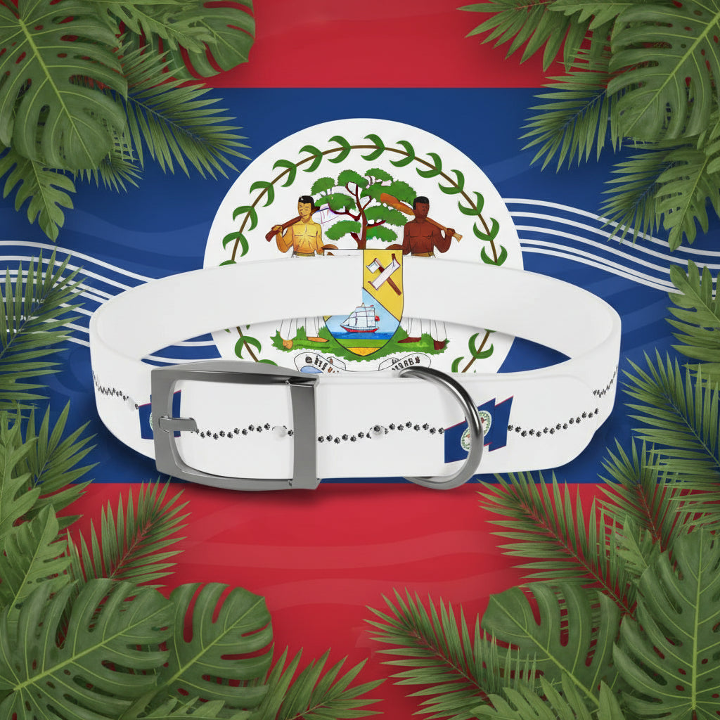 White dog collar with blue and gray design on a purple background