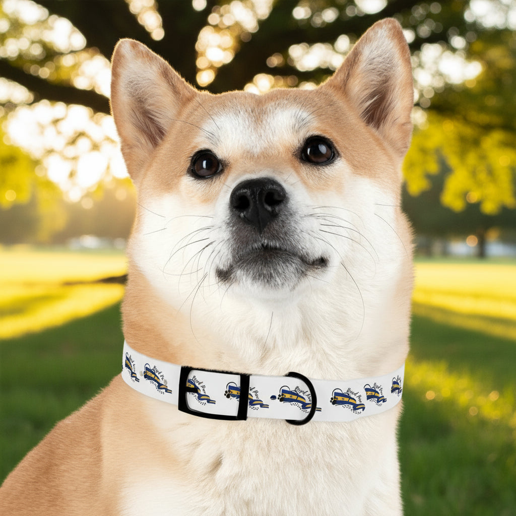Royal Paw Collar