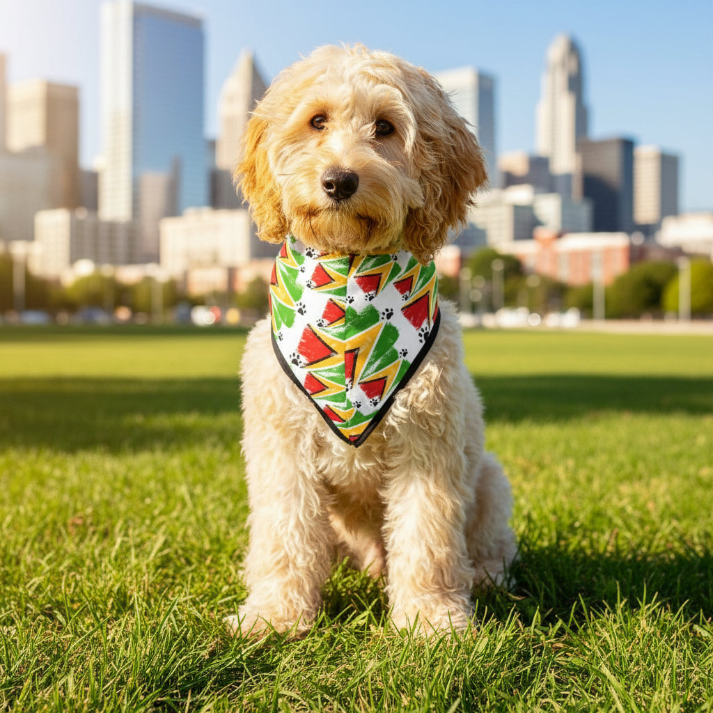 Dog wearing a colorful bandana with watermelon pattern on a white background