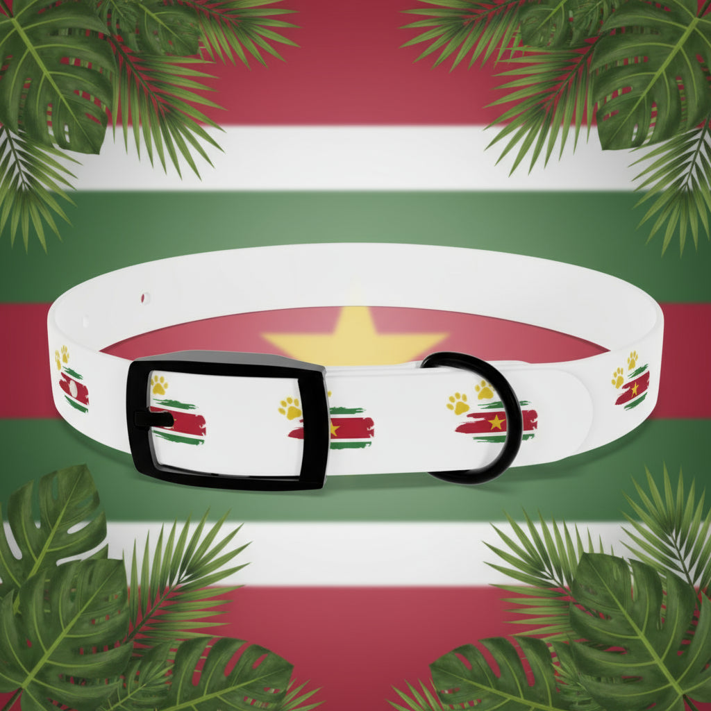 Golden Star Dog Collar