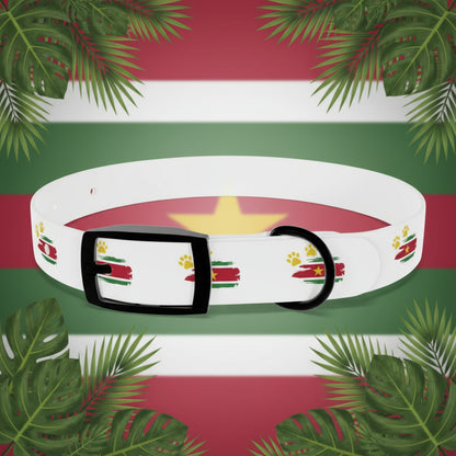 Golden Star Dog Collar