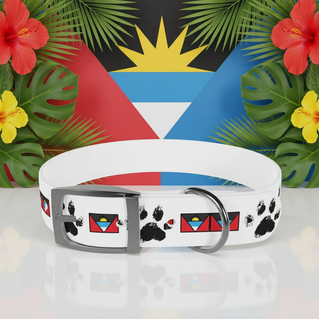 Twin-Island Pride Collar