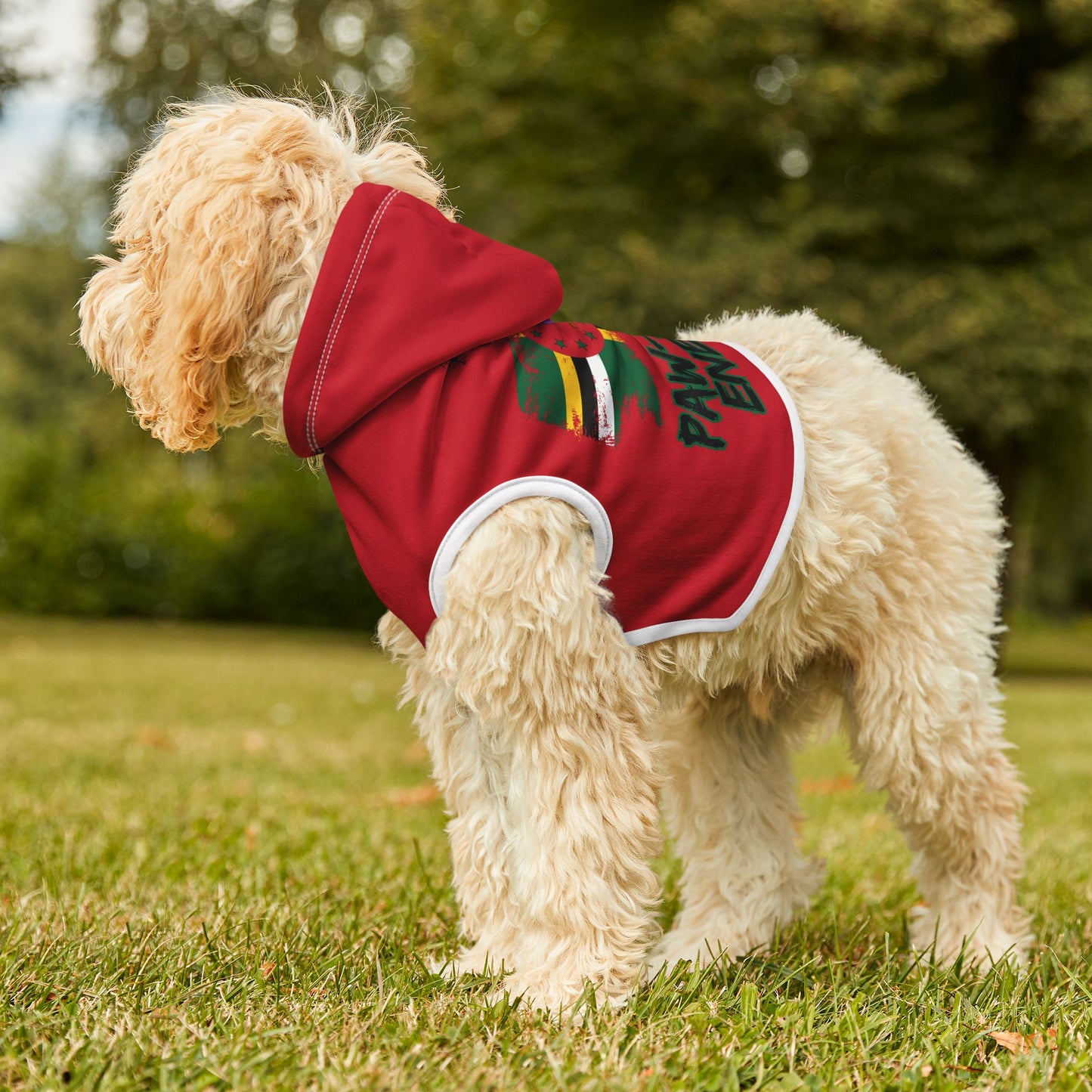 Paw-sitive Energy Pet Hoodie