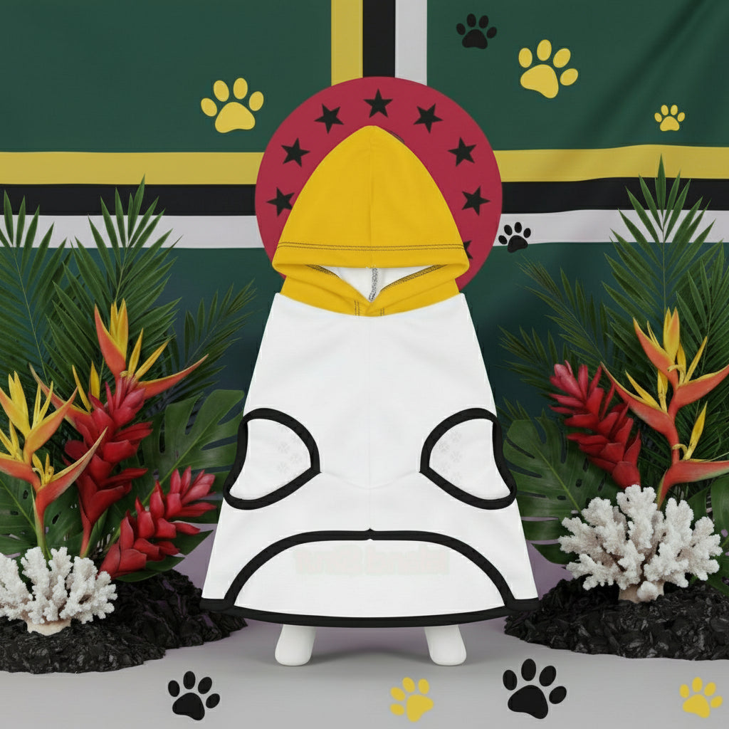 White hooded figure with black accents in front of a flag with red, yellow, and green stripes.