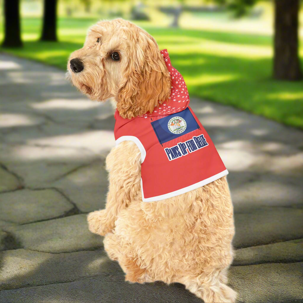 Paws Up for Belize Pet Hoodie