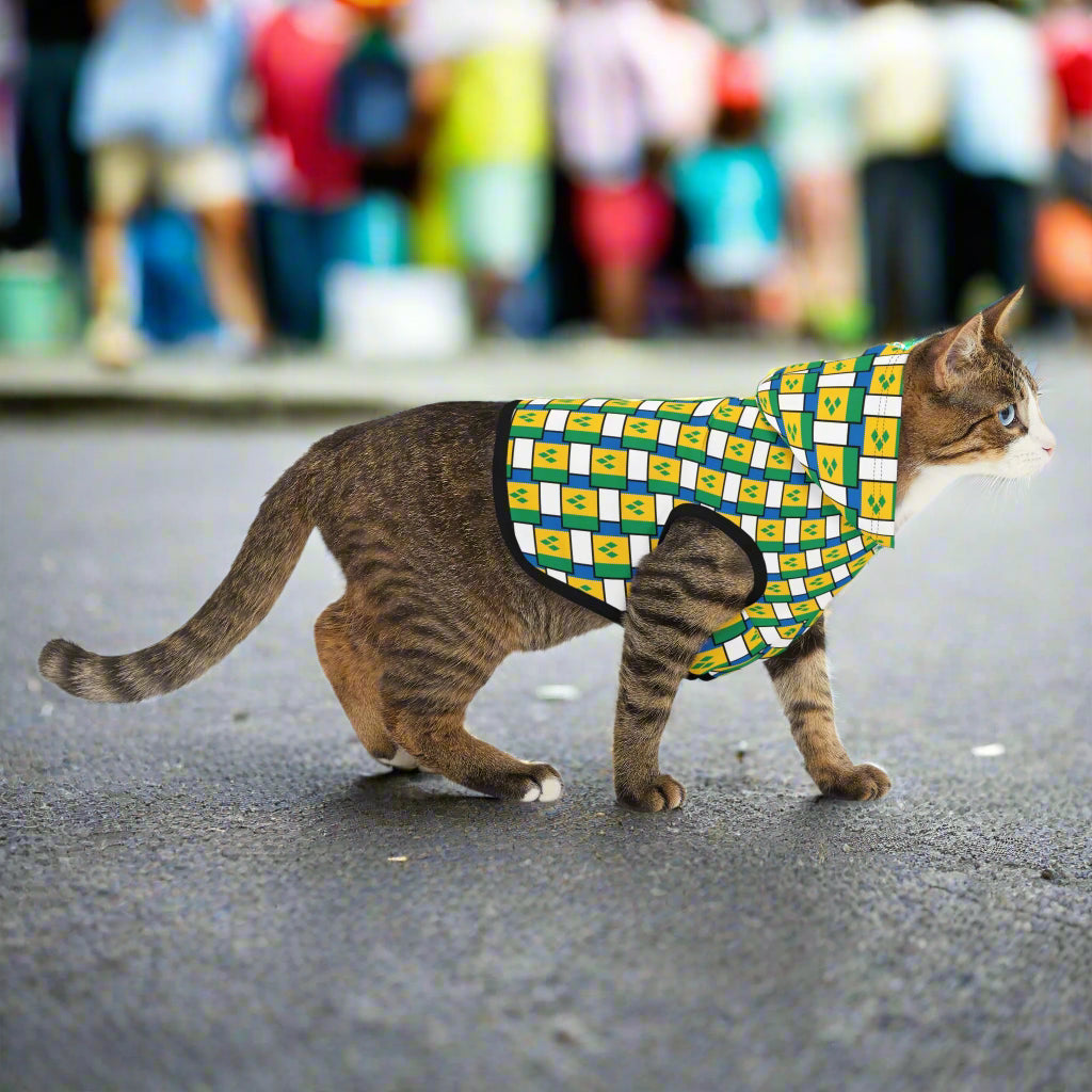 Cat wearing a green and yellow checkered coat on a white background
