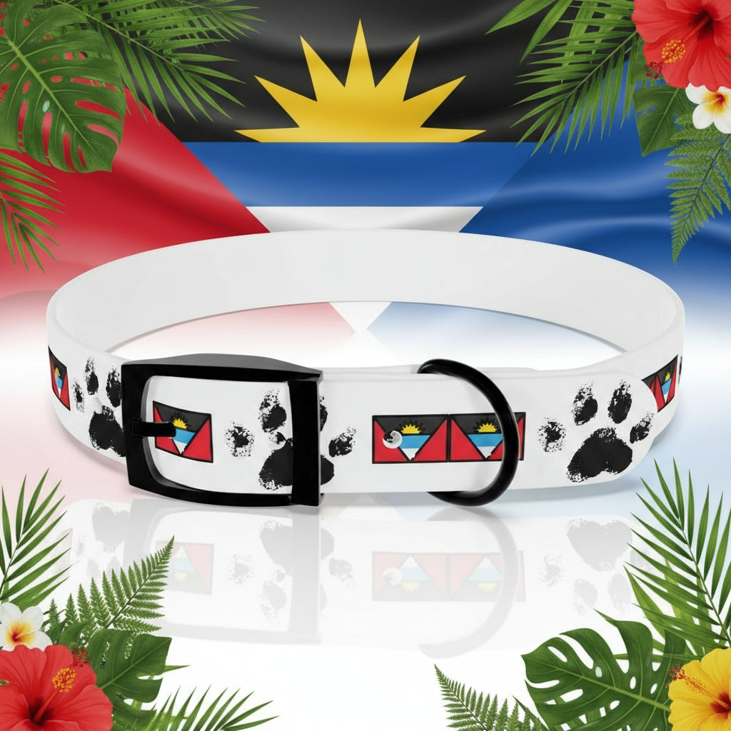 Dog collar with geometric designs and paw prints on a rainbow background