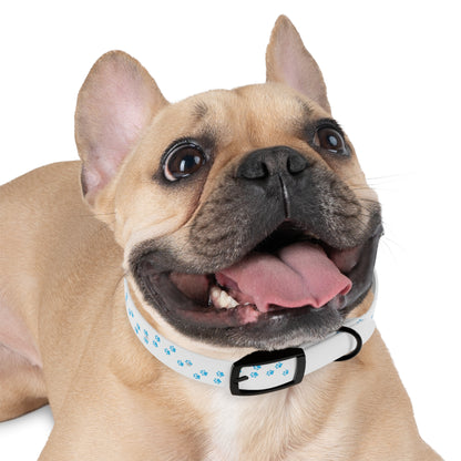 St. Lucia Pet Collar