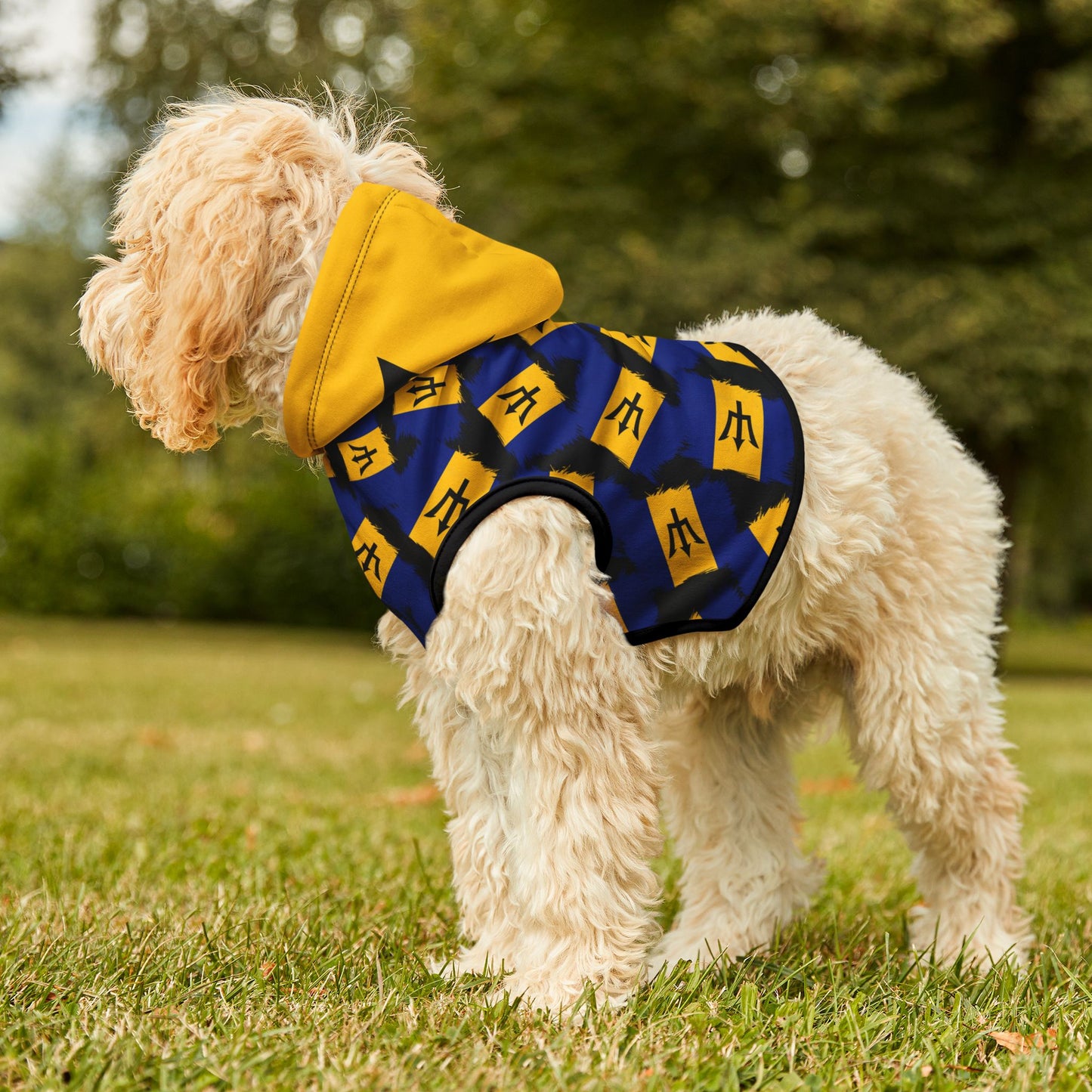 Bajan Nights Pet Hoodie