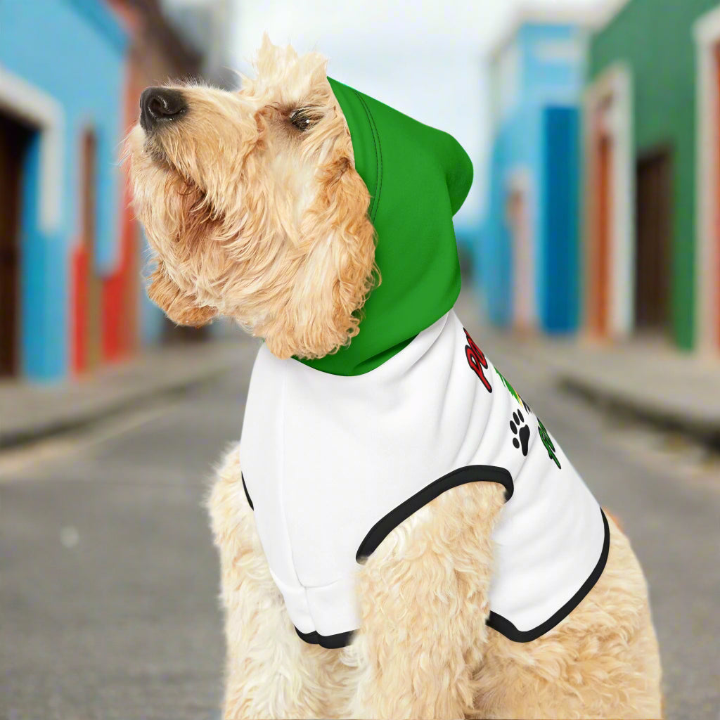 Paws Up for SKN Pet Hoodie