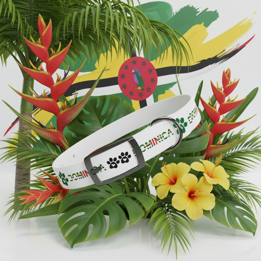 White dog collar with 'Dominica' branding and paw prints on a white background