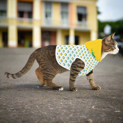 Cat wearing a patterned shirt with a yellow hood on a white background