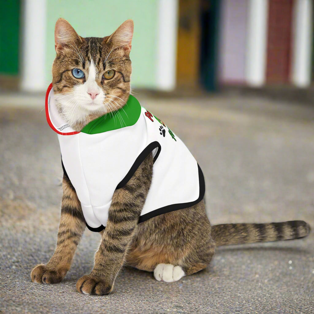 Paws Up for SKN Pet Hoodie