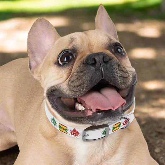 Grenada Paws Collar