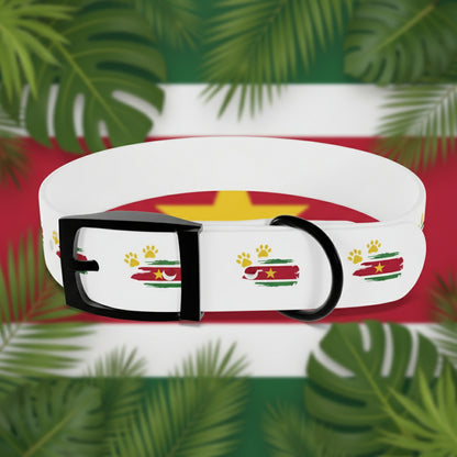 Golden Star Dog Collar