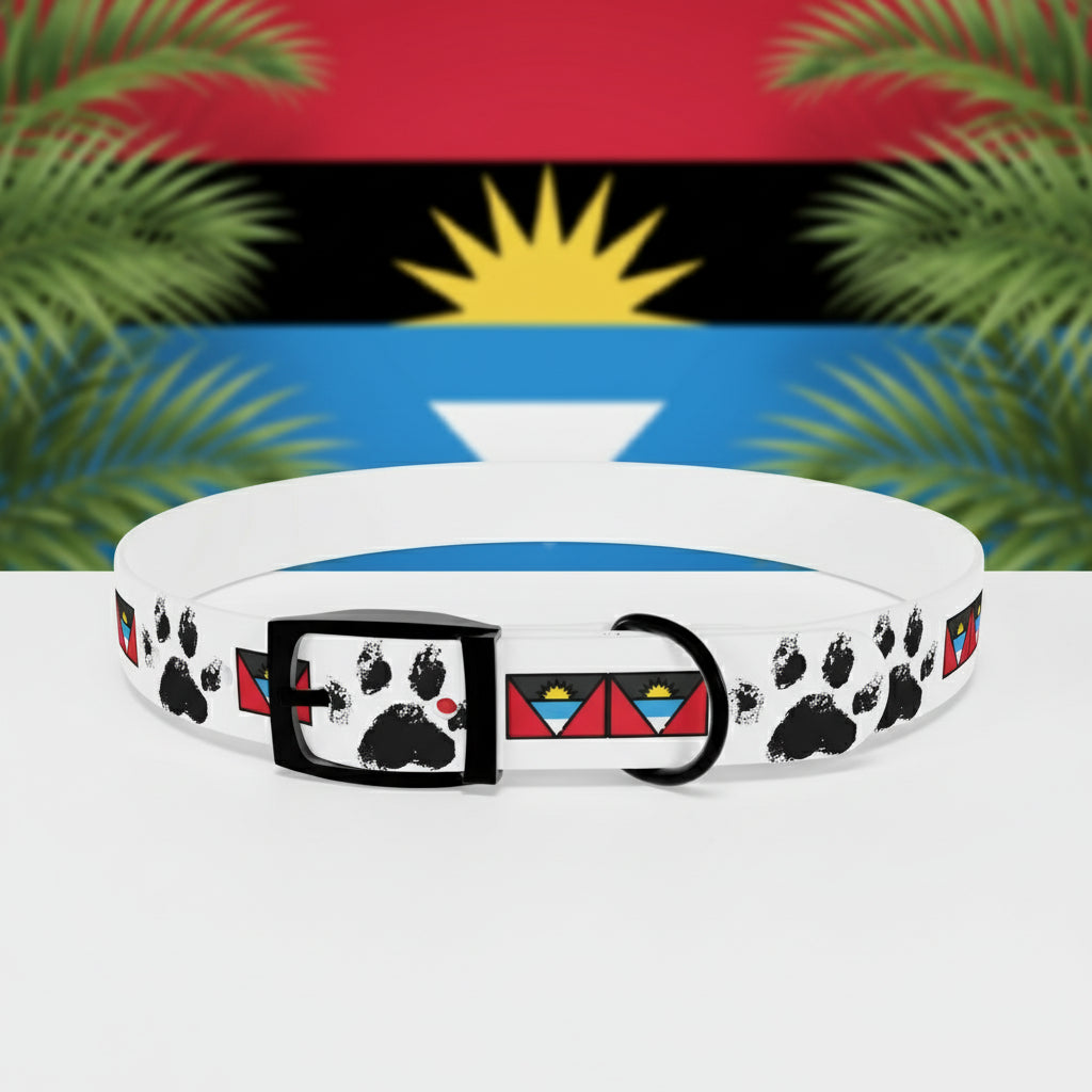 Dog collar with paw print design on a colorful gradient background