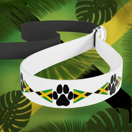 White dog collar with black paw print design and Jamaican flag pattern on a blurred green leaf background