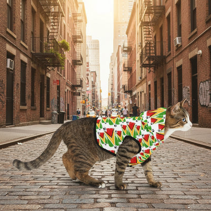 Cat wearing a colorful patterned coat on a white background