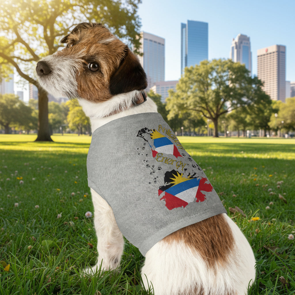 Dog wearing a gray sweater with colorful designs in a park with city skyline in the background