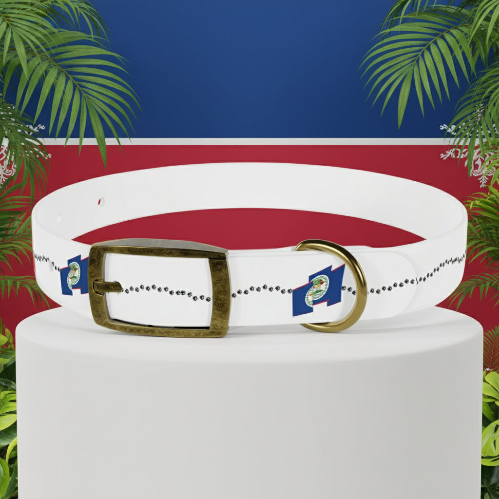 White dog collar with decorative elements on a white background