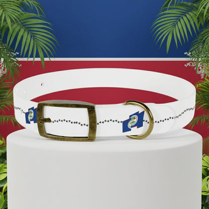 White dog collar with decorative elements on a white background