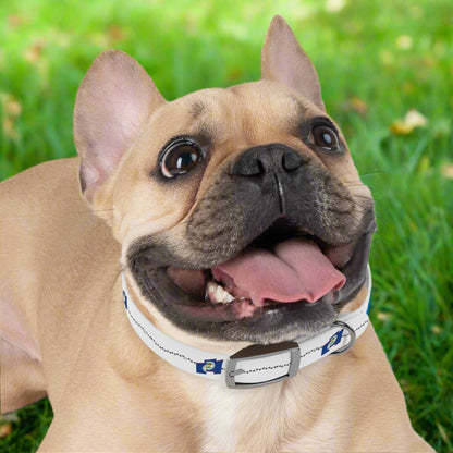 Belize Bound Pet Collar